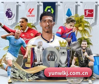 yunwlkj.com.cn APP